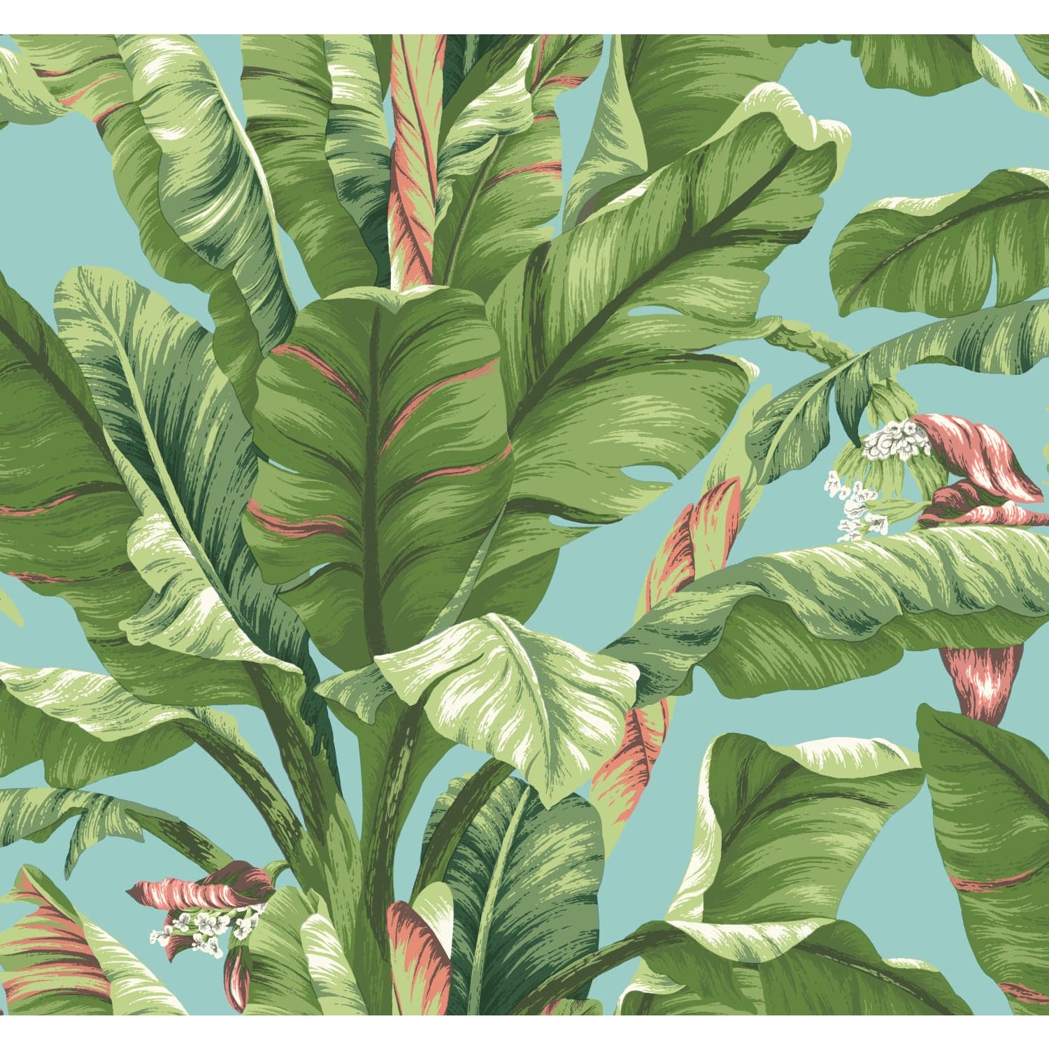 Banana Leaf Aqua & White Wallpaper