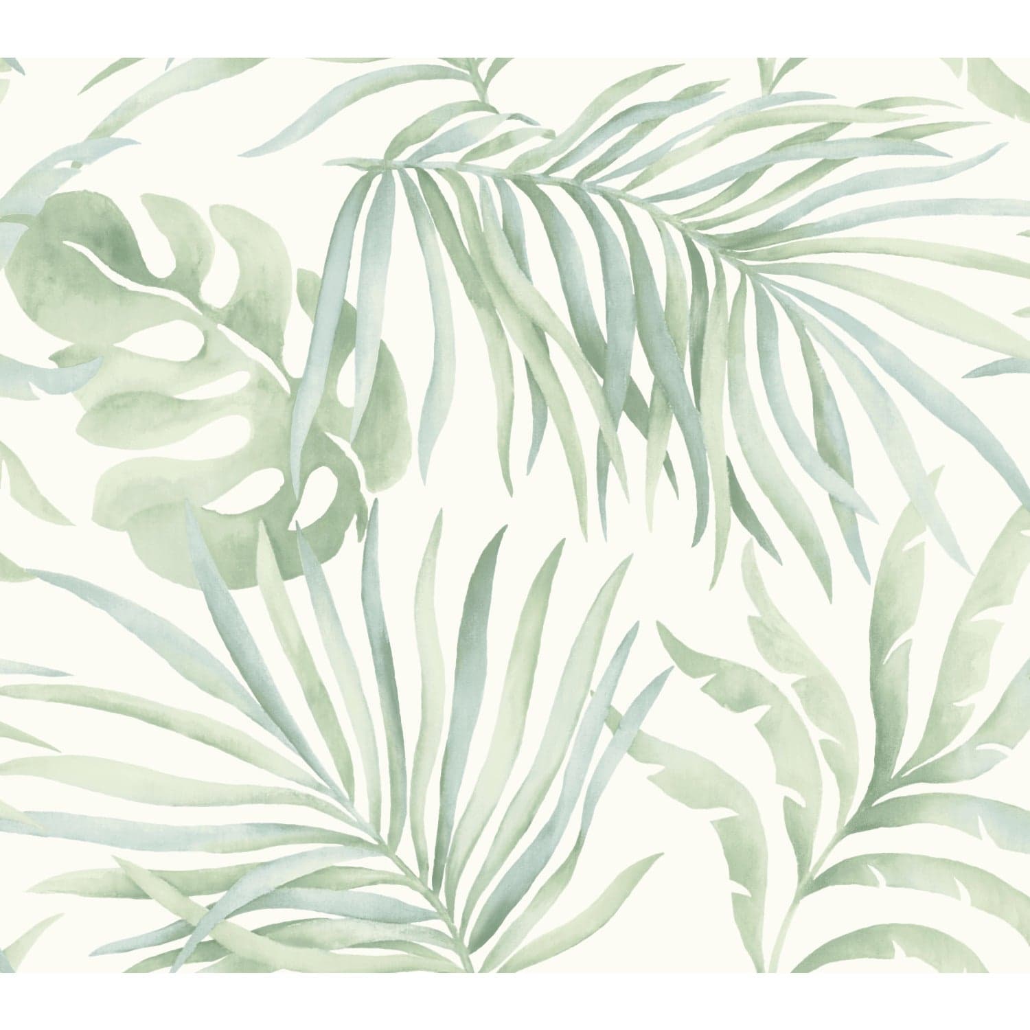 Paradise Palm Aloe Wallpaper