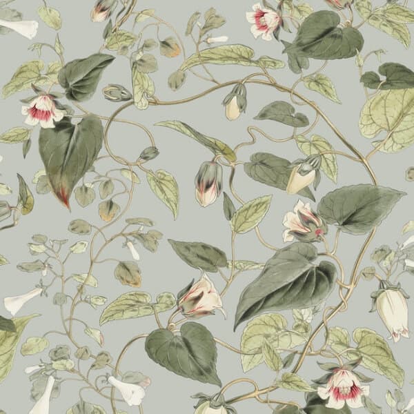 Moon Flower Wallpaper- Dove