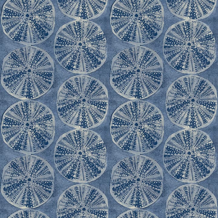 Sea Biscuit Blue Sand Dollar Wallpaper