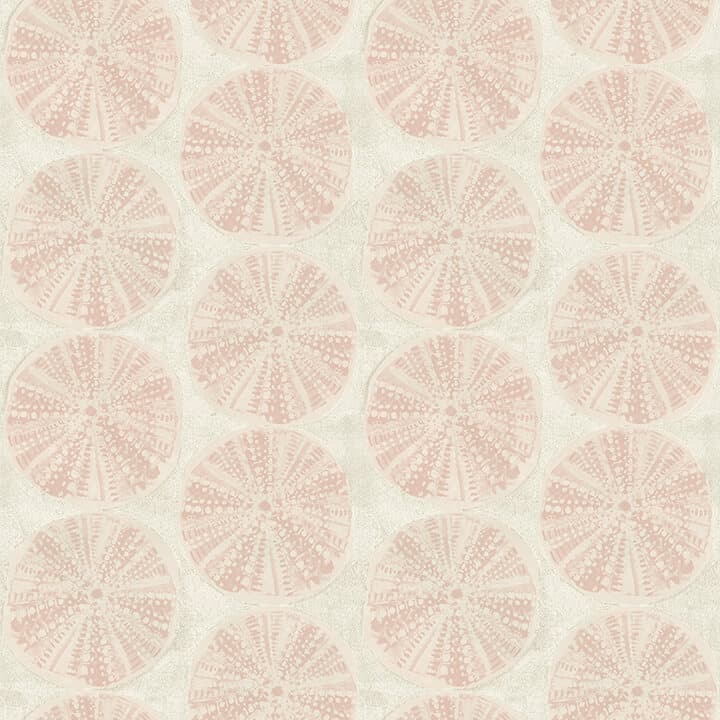 Sea Biscuit Peach Sand Dollar Wallpaper