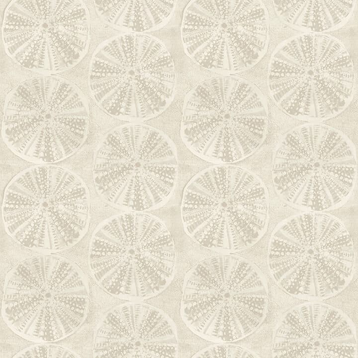 Sea Biscuit Beige Sand Dollar Wallpaper