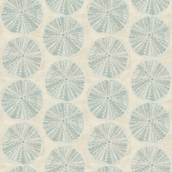 Sea Biscuit Aqua Sand Dollar Wallpaper