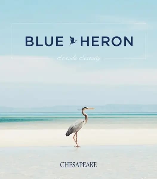 Blue Heron