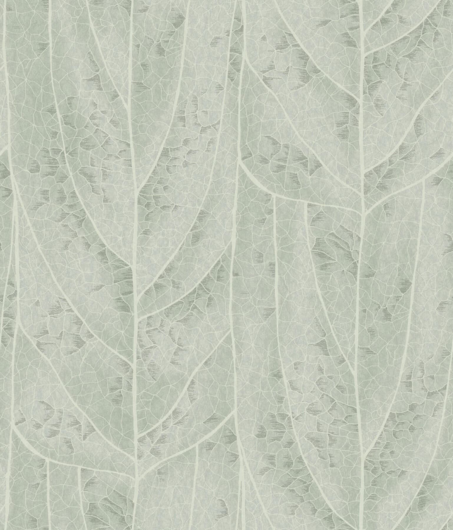 Dicot Spa Leaf Wallpaper- Spa