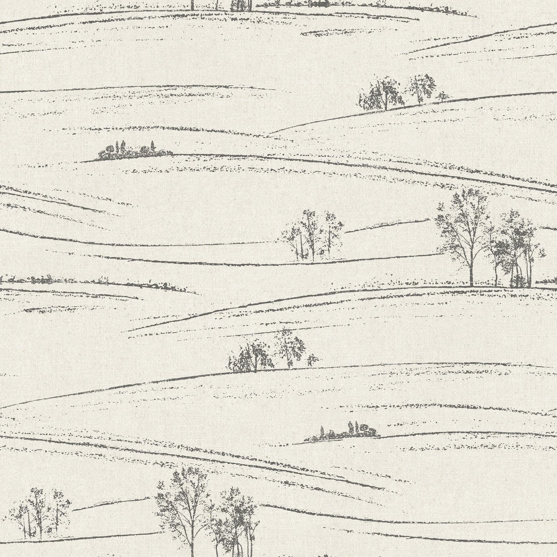 Chesapeake Isaac Rolling Hills Black Wallpaper