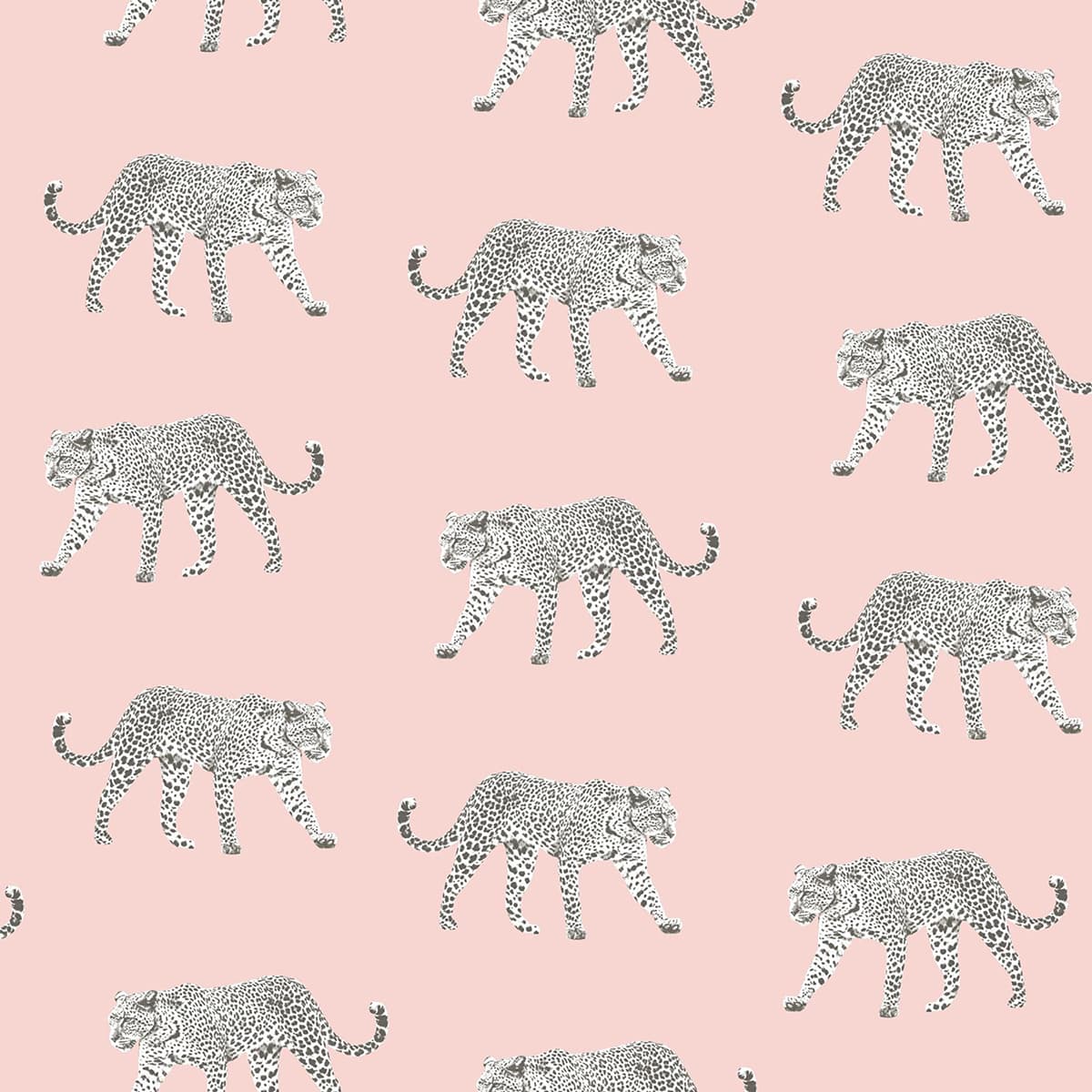 Prowl Pink Jaguars Wallpaper