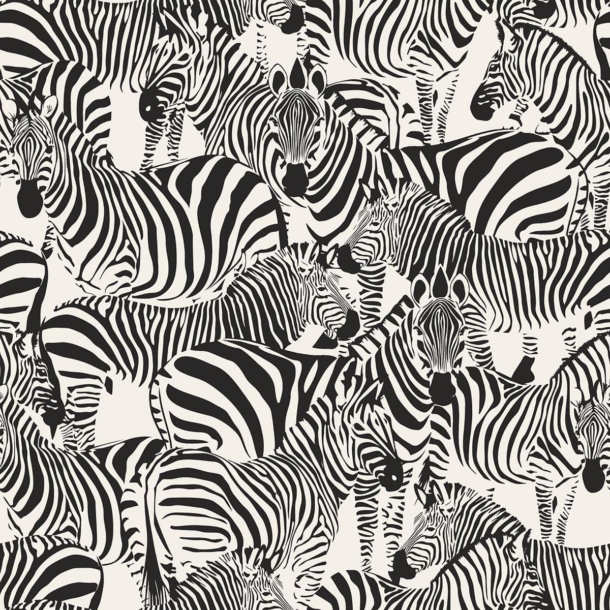 Jemima Black Zebra Wallpaper