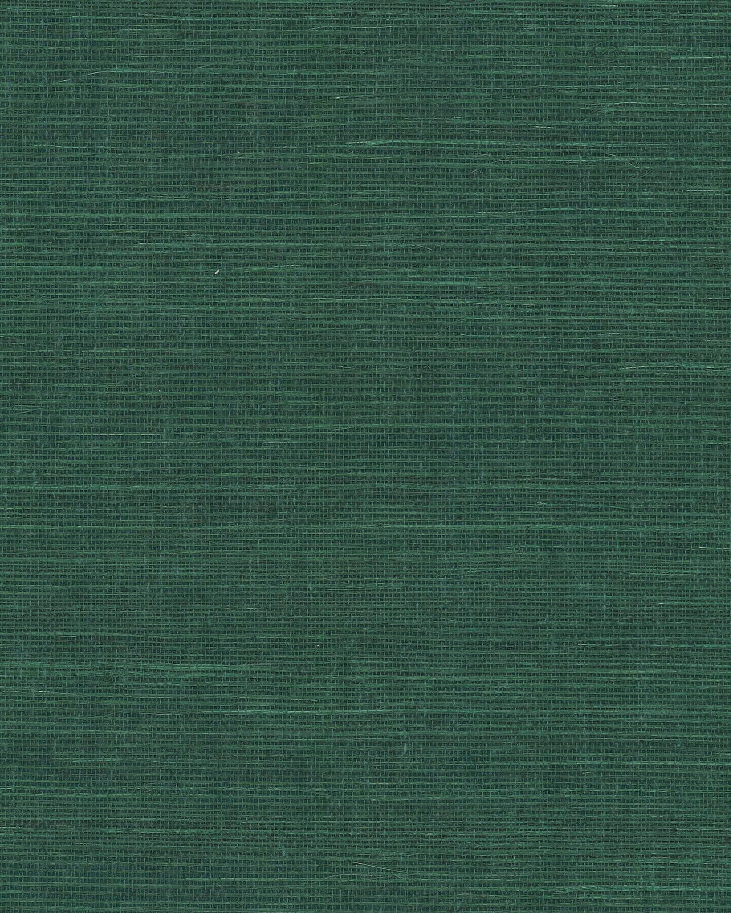 Maguey Forest Sisal Wallpaper- Forest