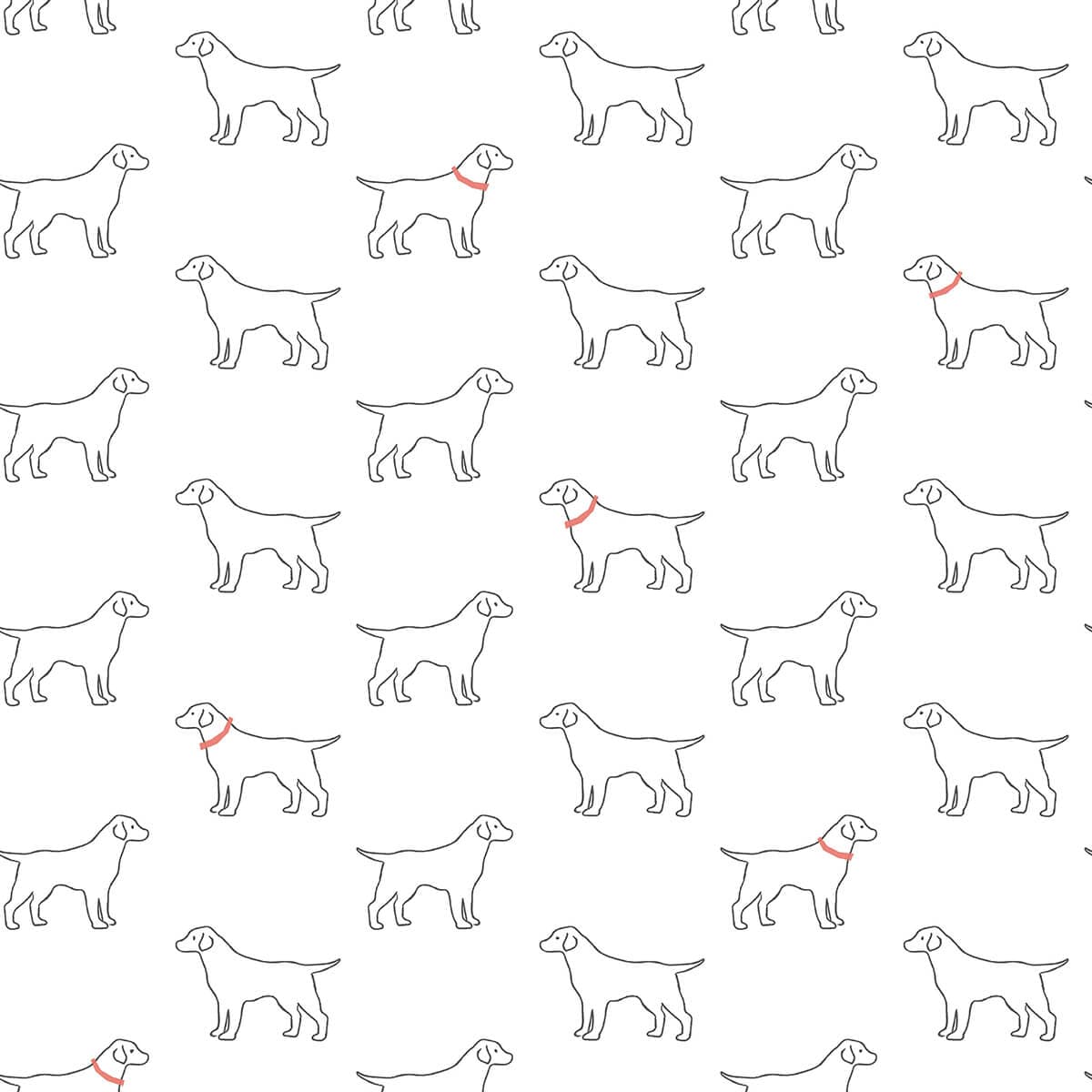 Yoop White Dog Wallpaper
