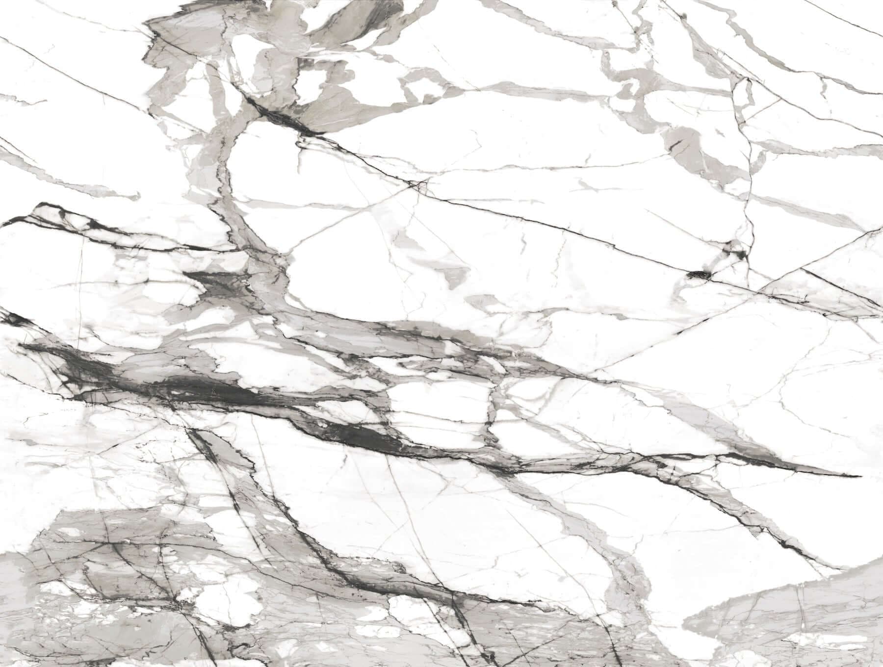 Imperial Marble Mural- Black & White