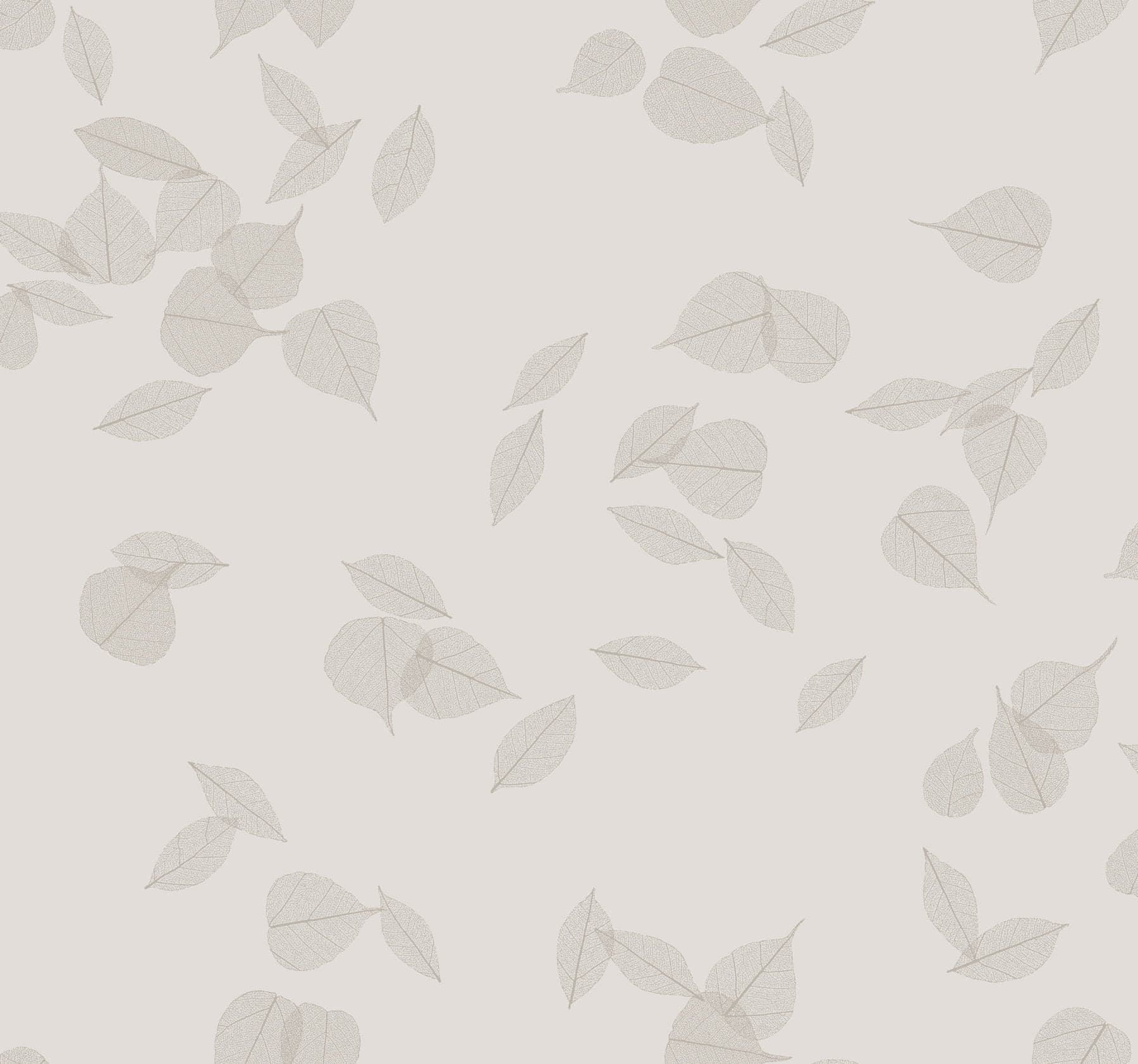 Myles Leaves Light Grey Wallpaper