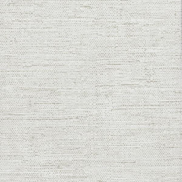 Essence Wallpaper- Arctic Shell