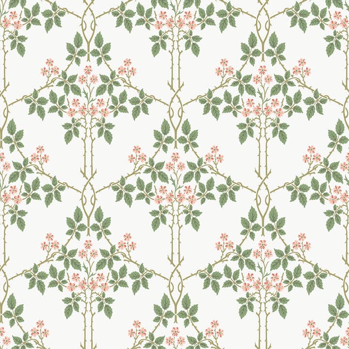 Blackberry Pink Vine Trellis Wallpaper