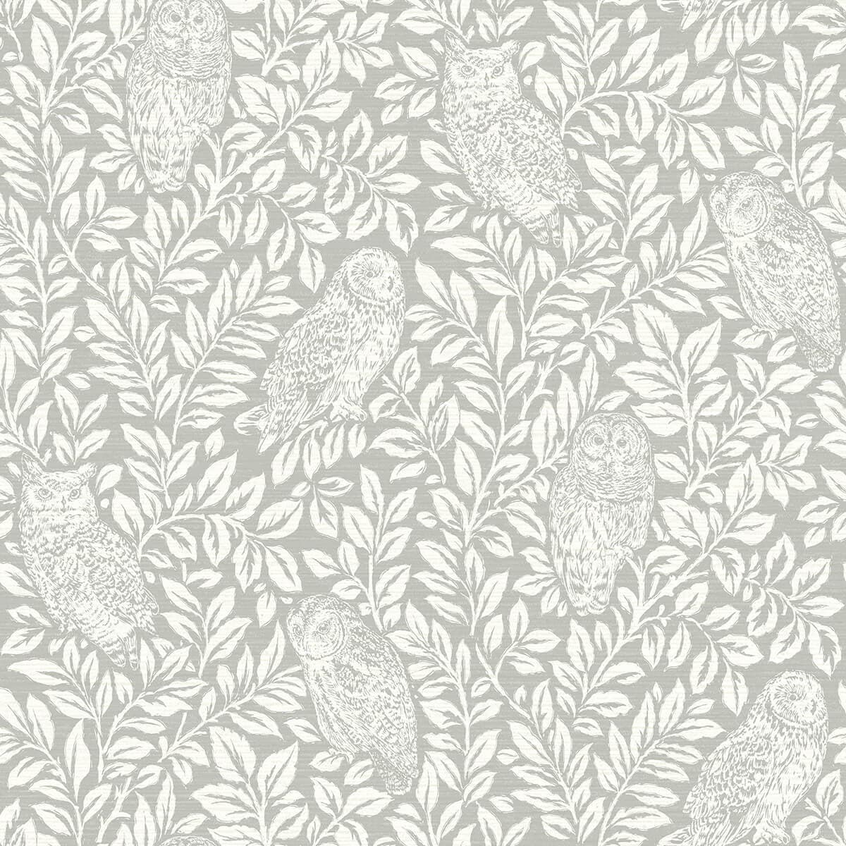 Parliament Grey Owl Wallpaper