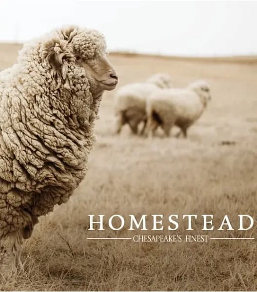 Homestead