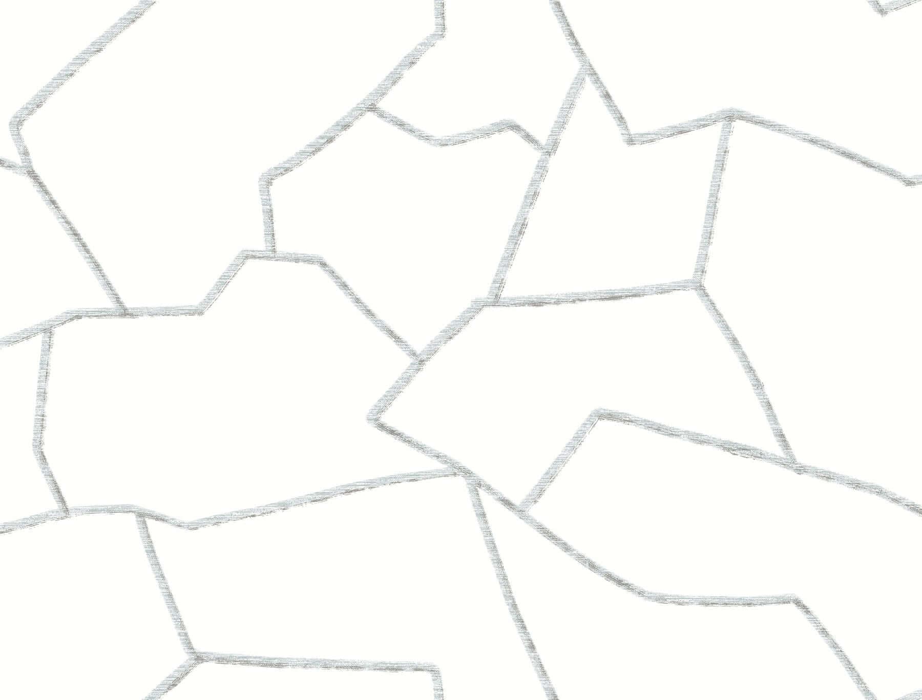 Suite Style- Dolphin