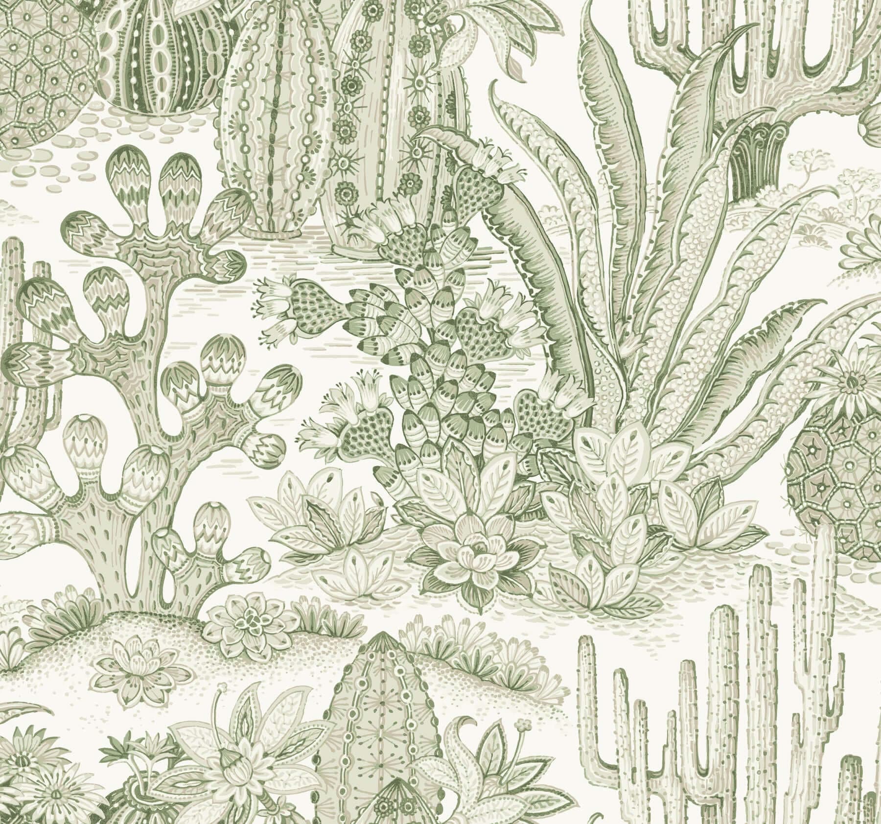 Lotus Land Cacti- Palm
