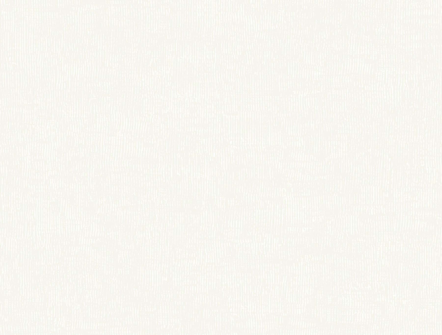 Trabadillo Plaster- Plaster