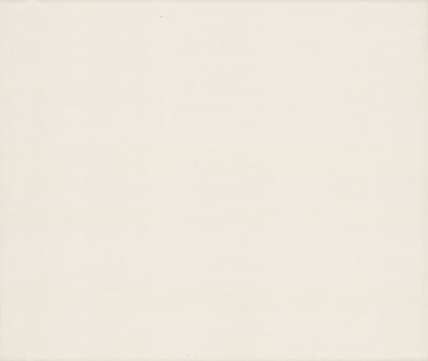 Silk Road Magnolia Wallpaper