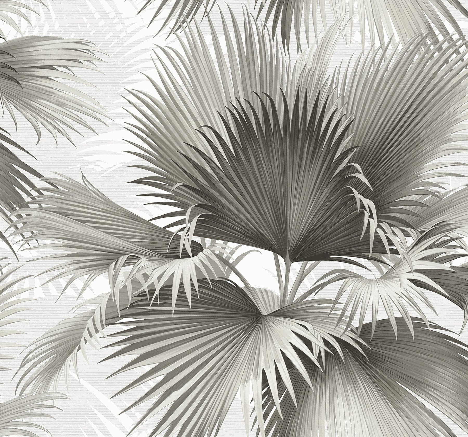 Summer Palm Tropical Charcoal Wallpaper