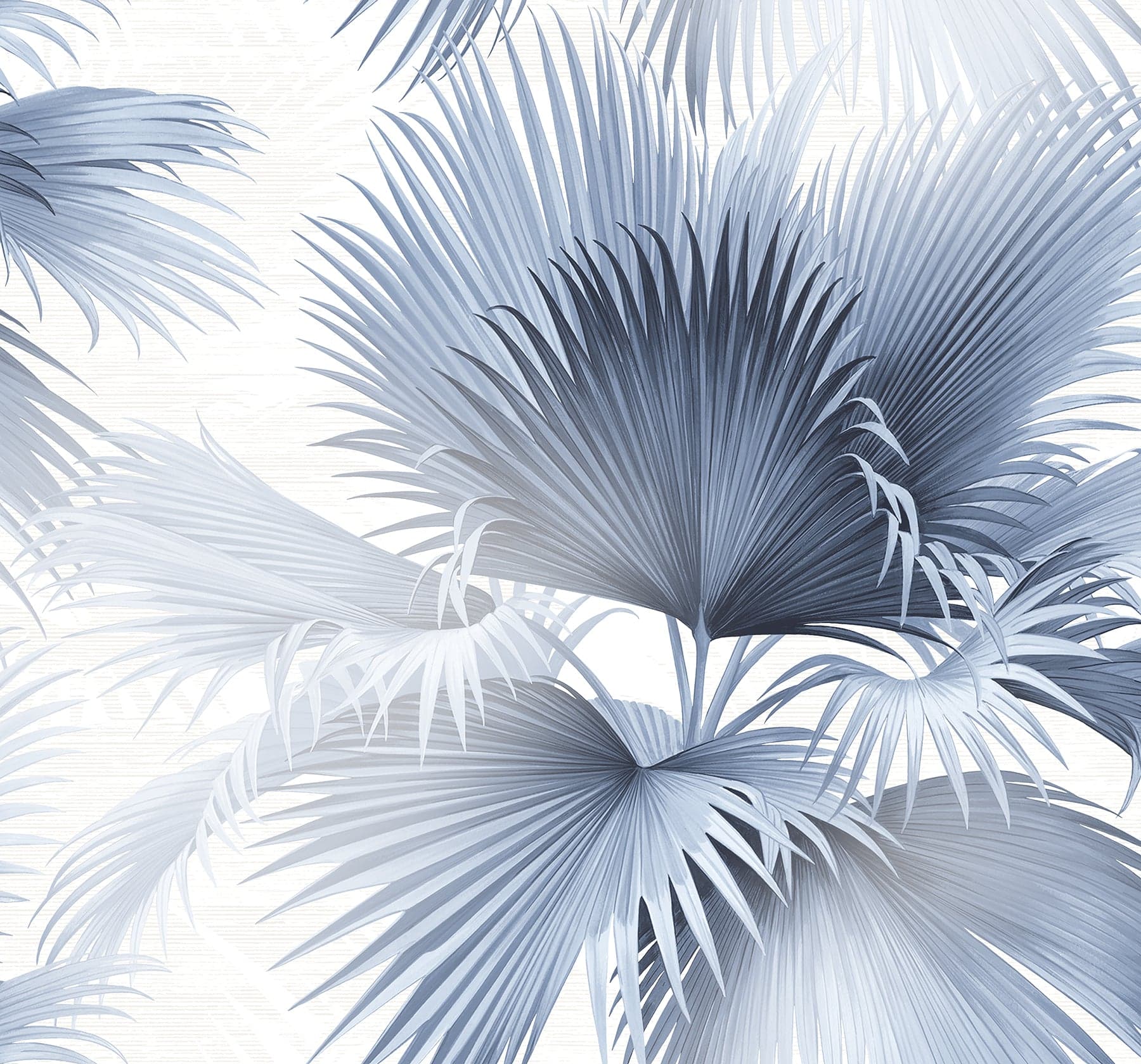 Summer Palm Tropical Blue Wallpaper