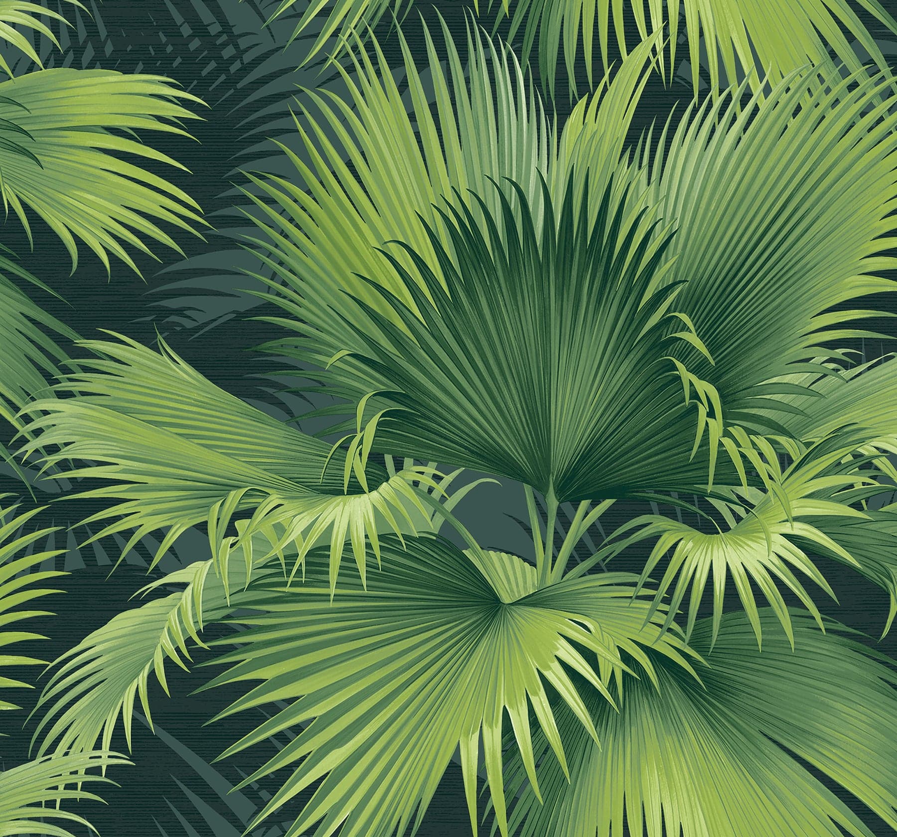 Summer Palm Tropical Dark Green Wallpaper