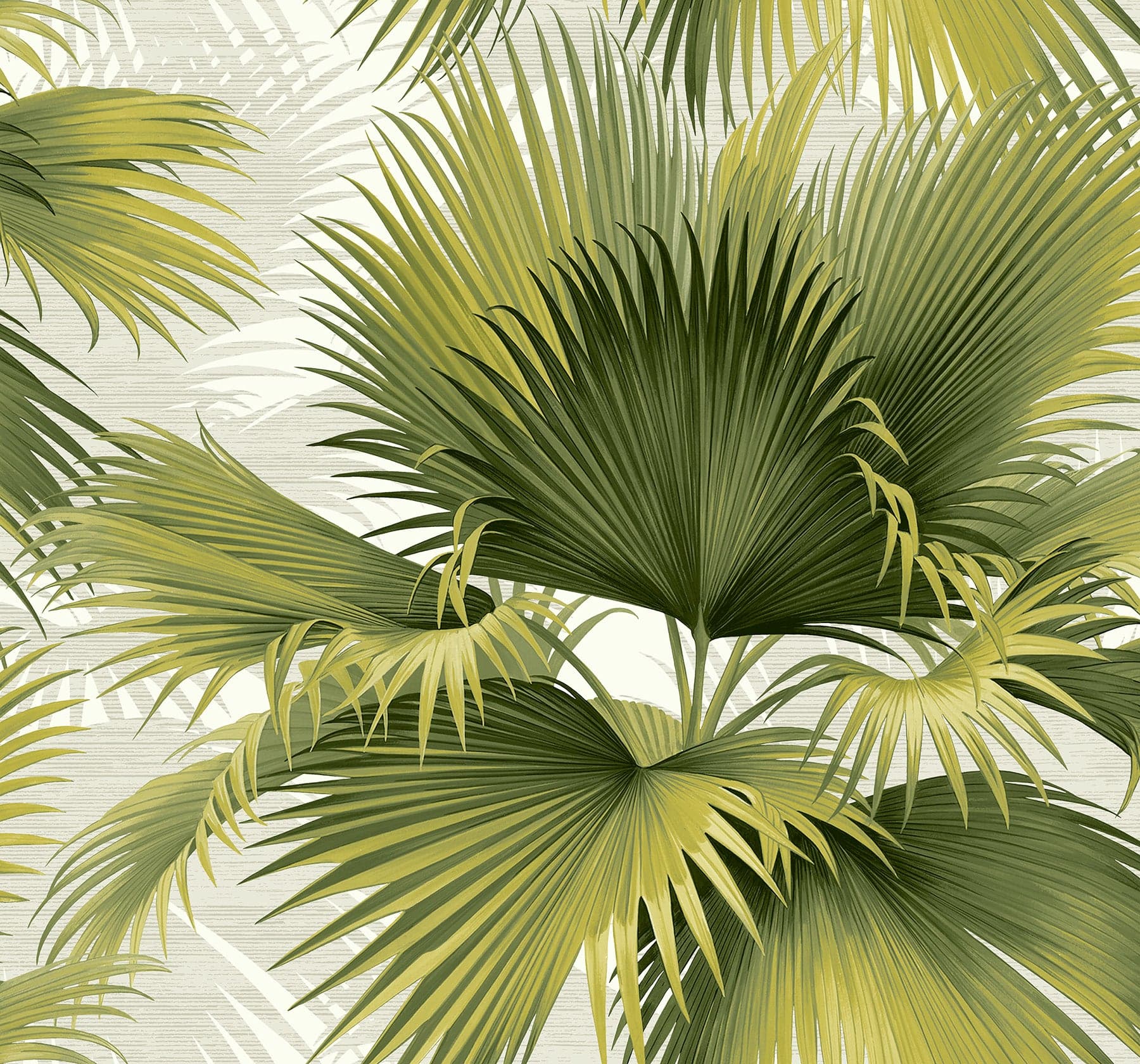 Summer Palm Tropical Green Wallpaper