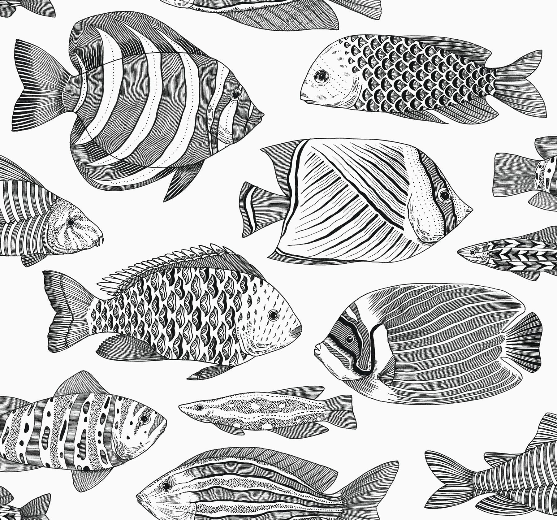 Wailea Tropical School Black Wallpaper
