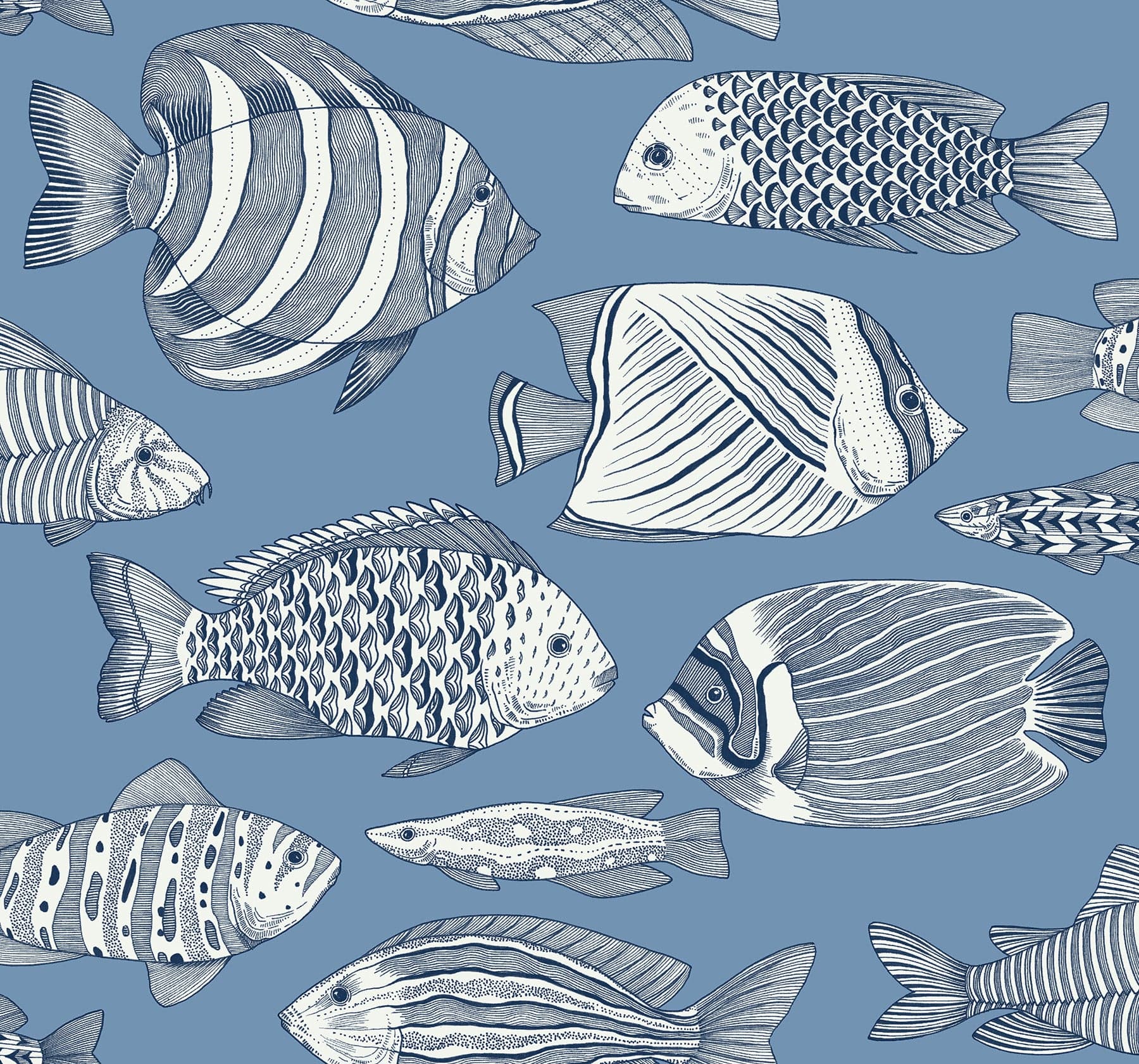 Wailea Tropical School Sky Blue Wallpaper