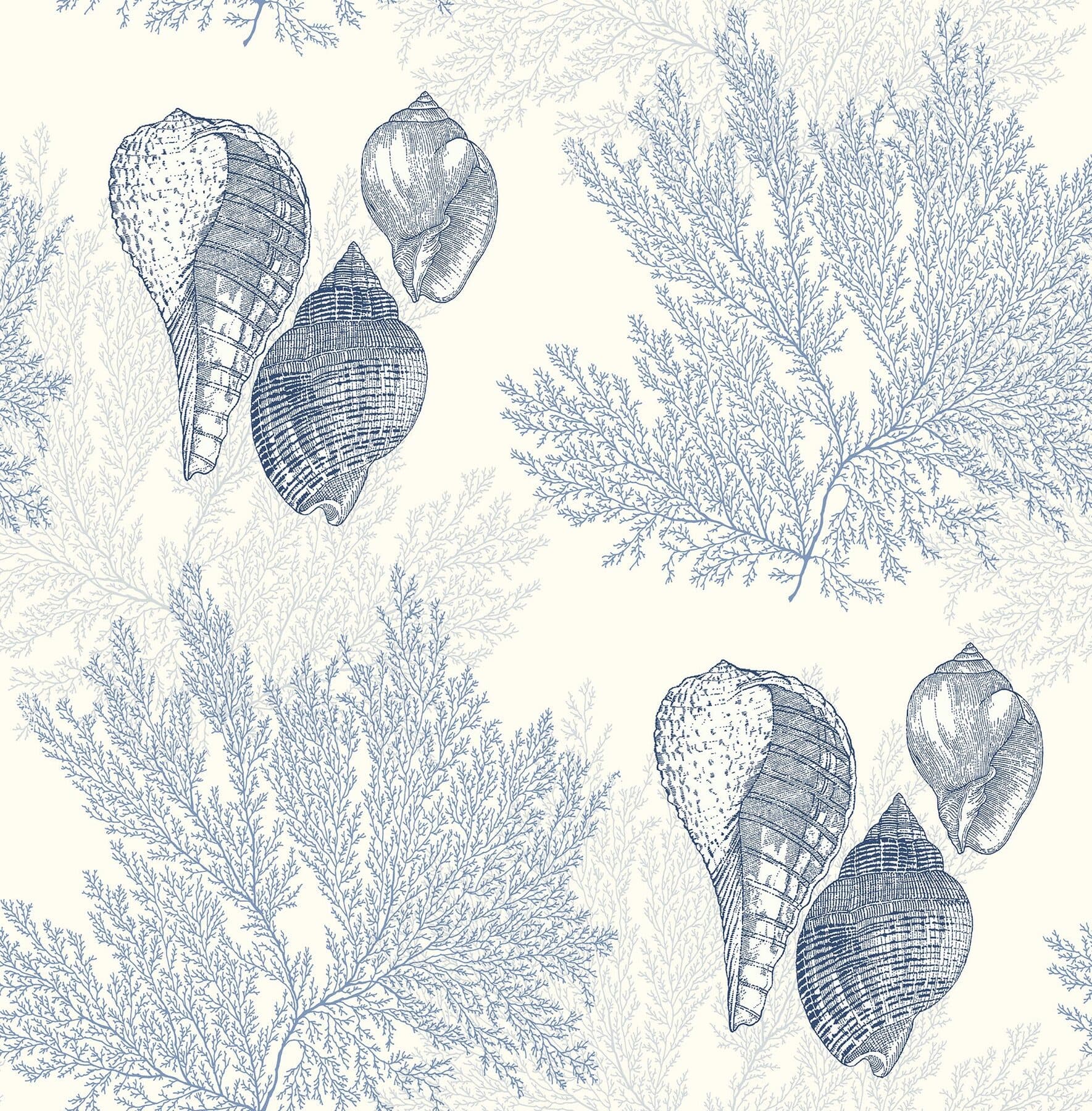 Nauset Seashell Shores Blue Wallpaper
