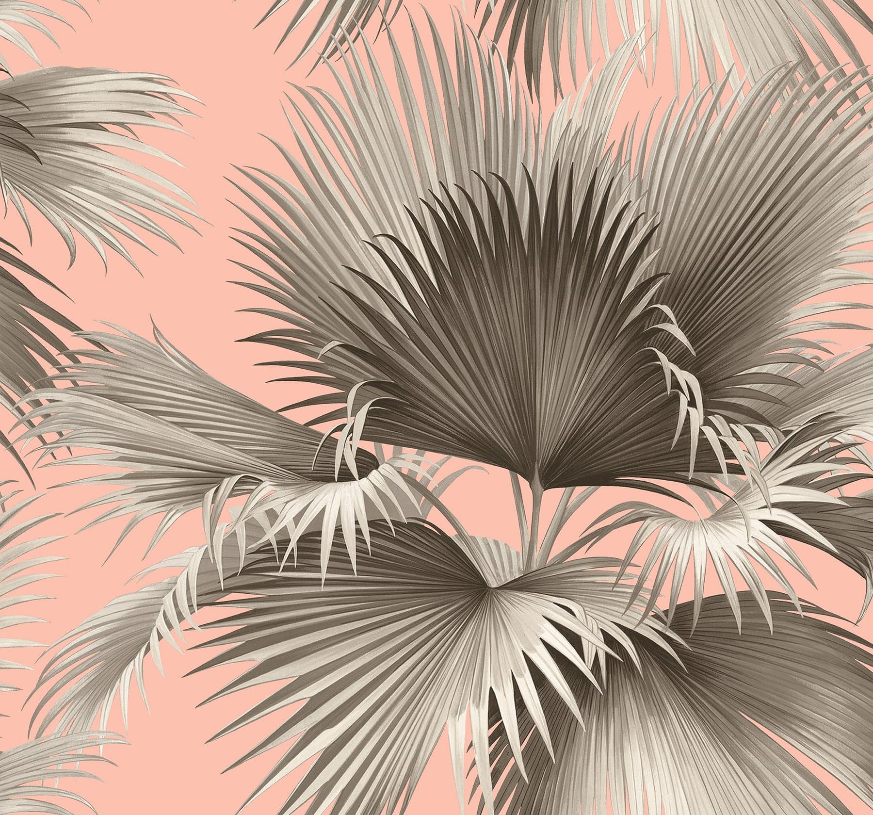 Summer Palm Tropical Blush Wallpaper