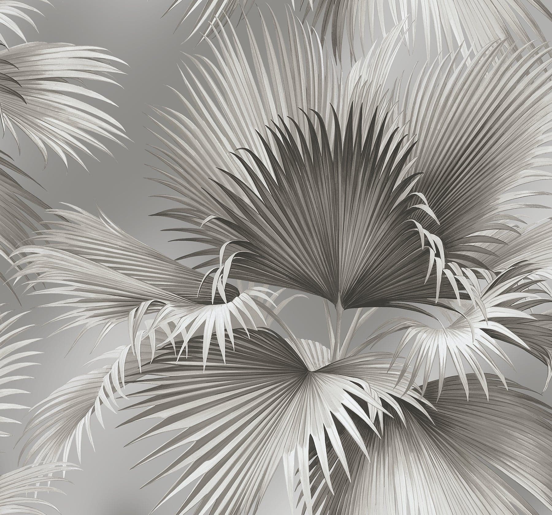 Summer Palm Tropical Platinum Wallpaper