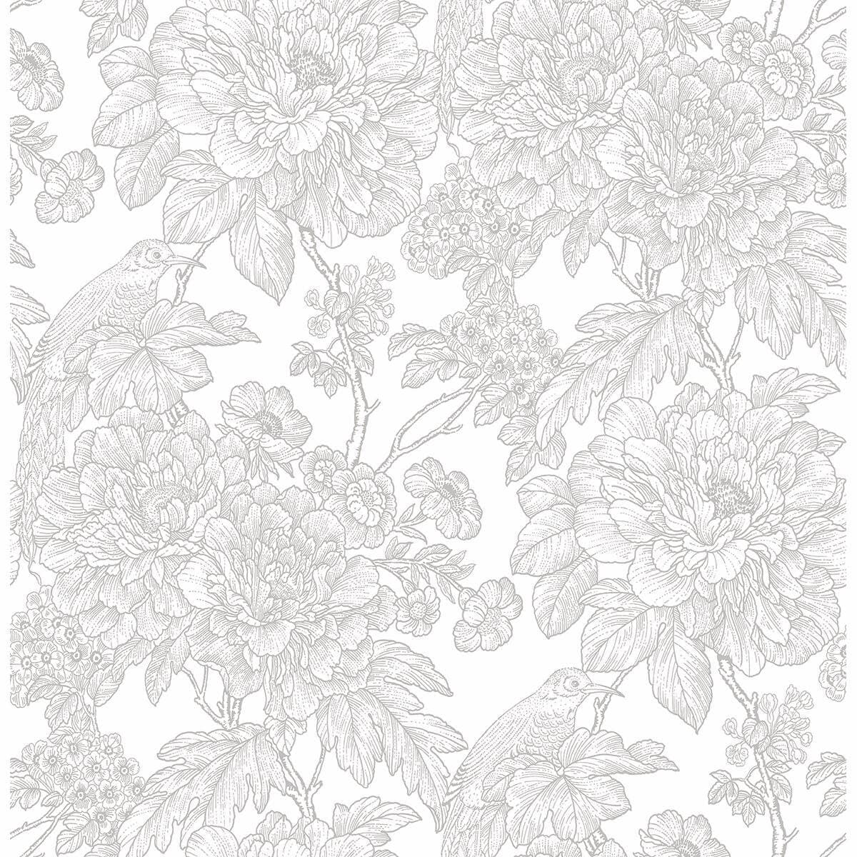Birds of Paradise Breeze Grey Floral Wallpaper