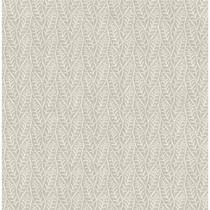 Coleus Grey Leaves Wallpaper