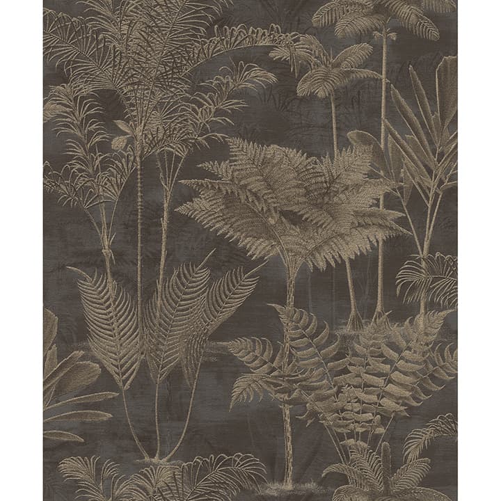Kinabalu Black Rainforest Wallpaper