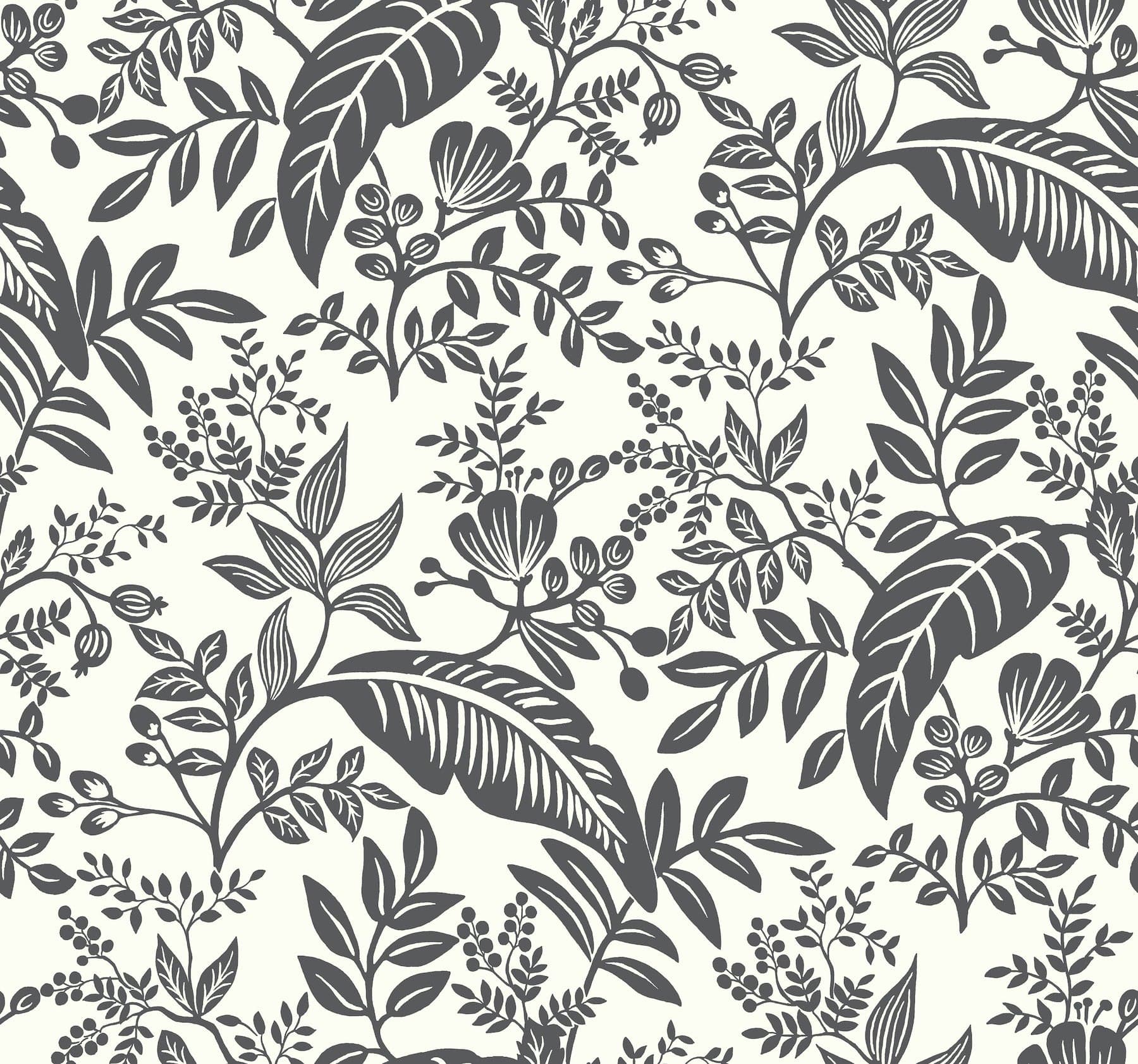 Rifle Paper Co. Canopy Black & White Wallpaper