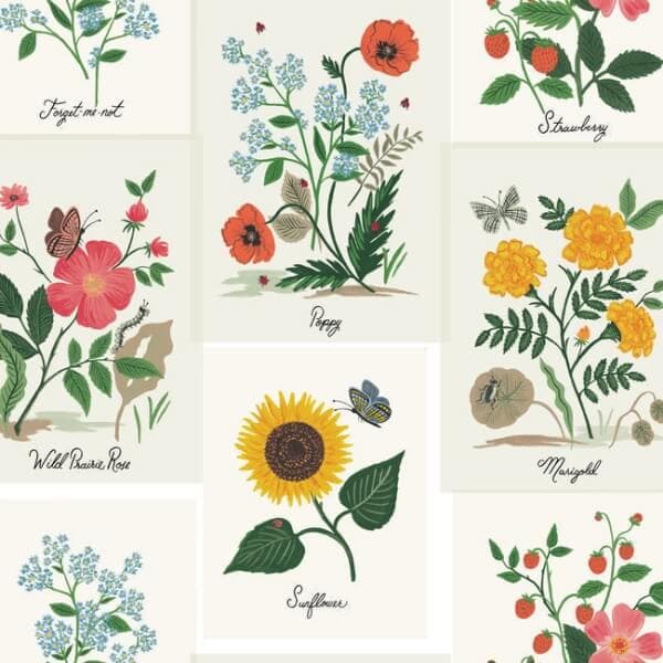 Botanical Prints Wallpaper- White
