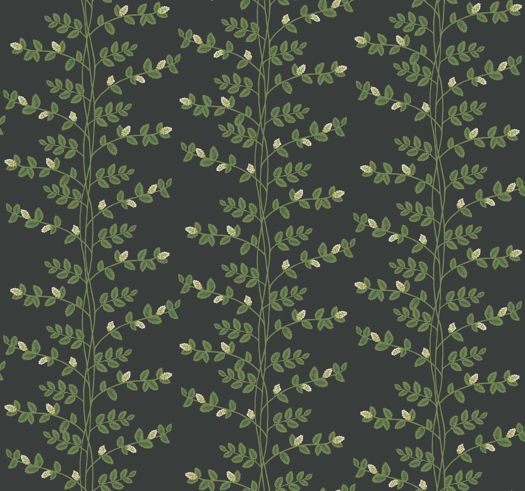 Climbing Vine Wallpaper- Black