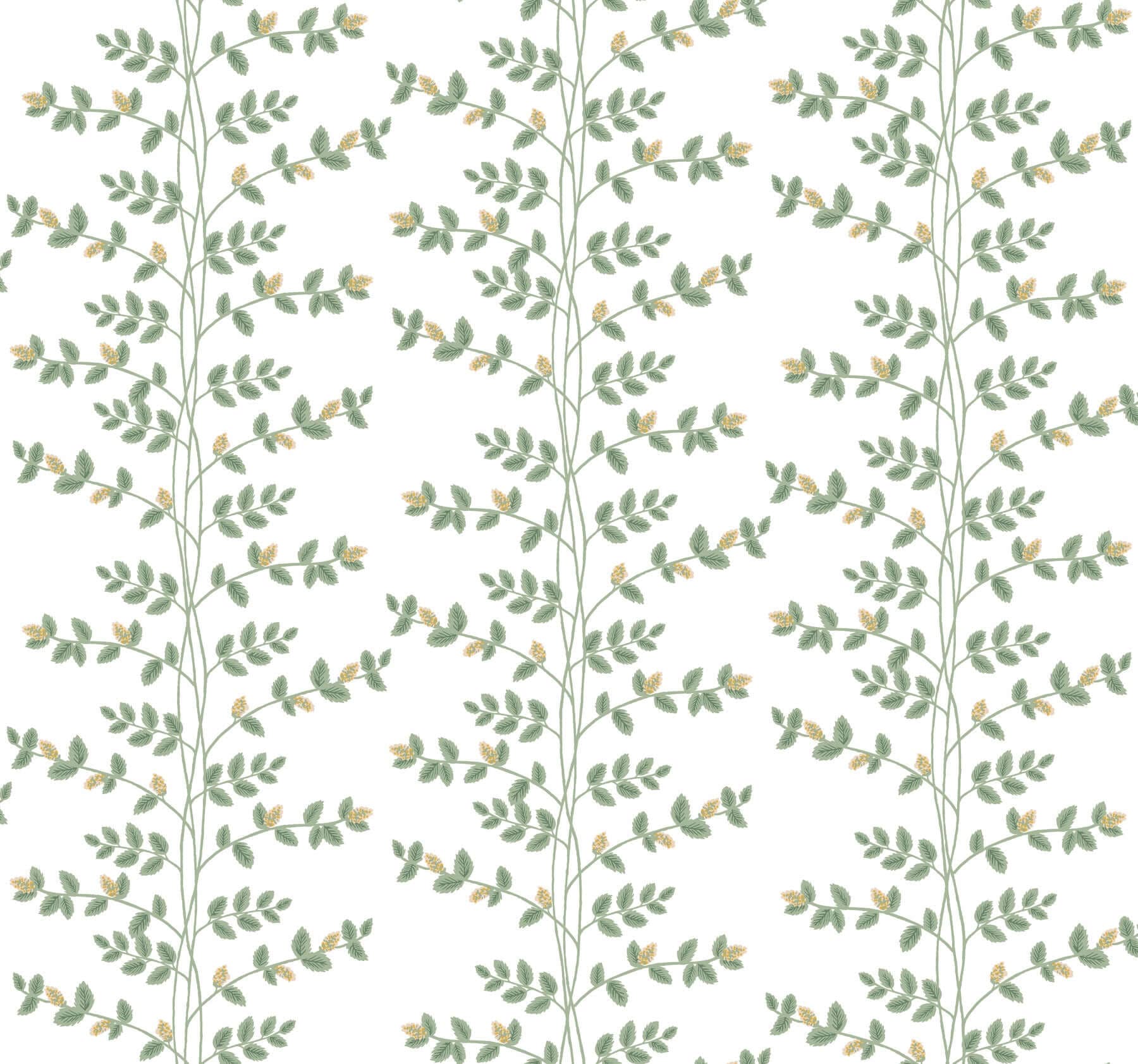 Climbing Vine Wallpaper- White & Gold