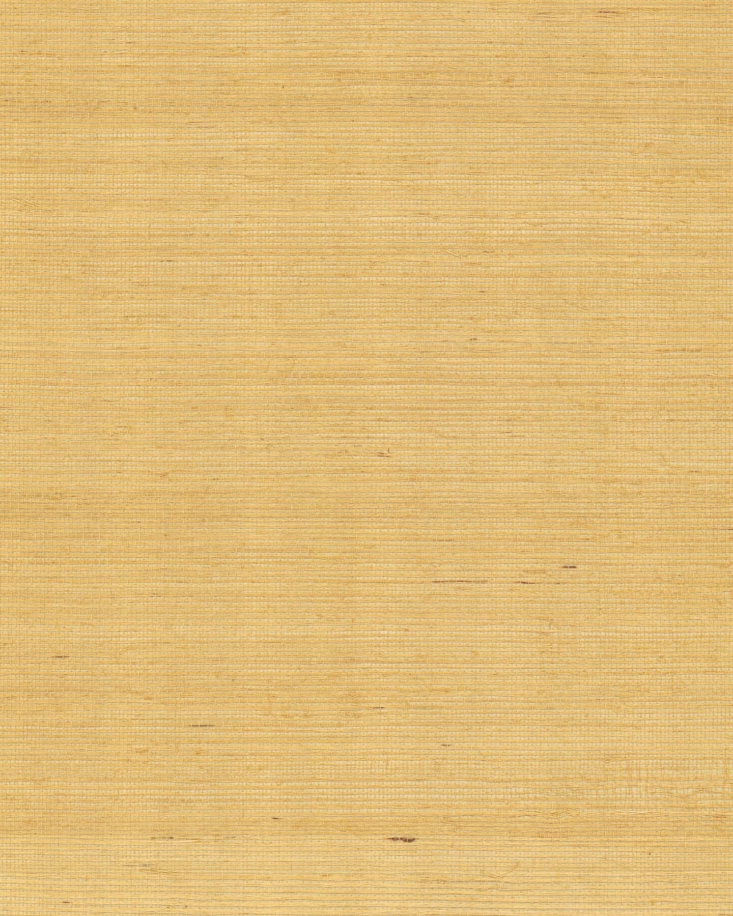 Maguey Gold and Beige Sisal Wallpaper- Gold and Beige