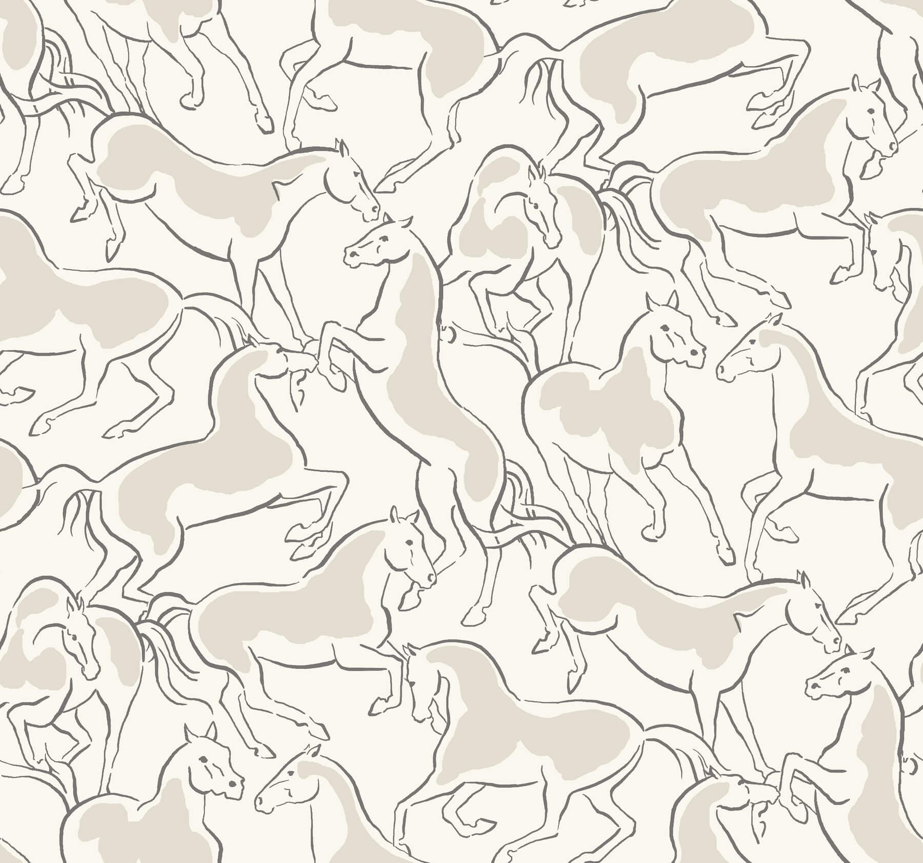 Dressage White Stallions Wallpaper