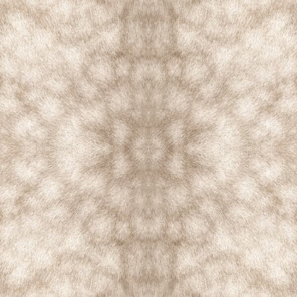 Palomino Premium Peel + Stick Wallpaper- Buckskin Palomino