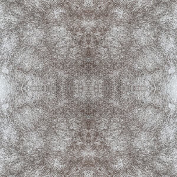 Rose Dapple Premium Peel + Stick Wallpaper- Warm Grey