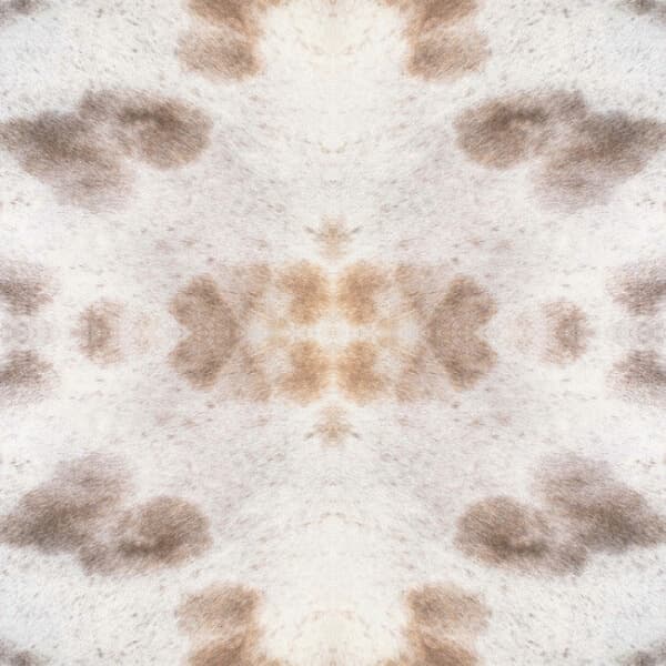 Leopard Appaloosa Premium Peel + Stick Wallpaper- Buttermilk