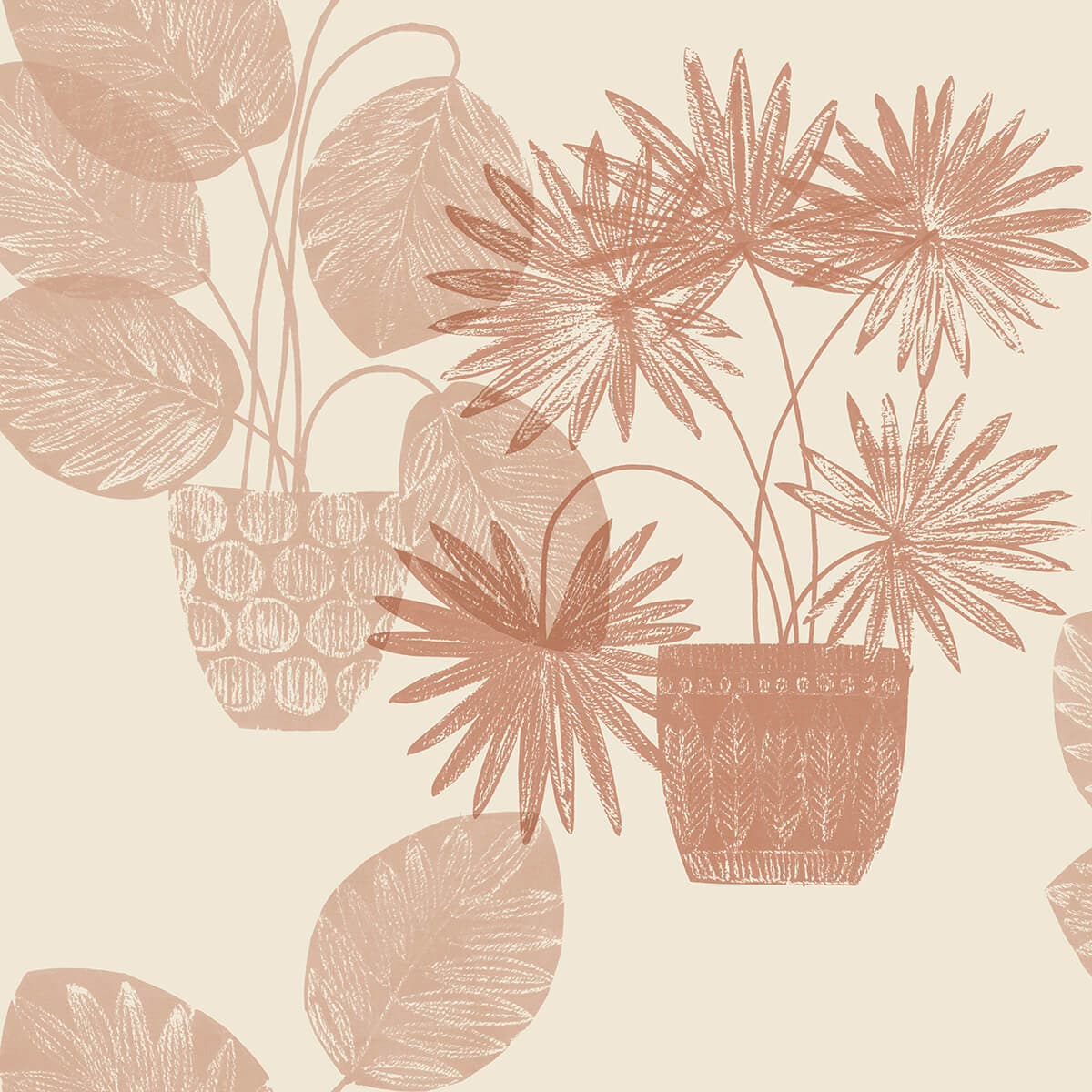 Aida Pink Potted Plant Wallpaper