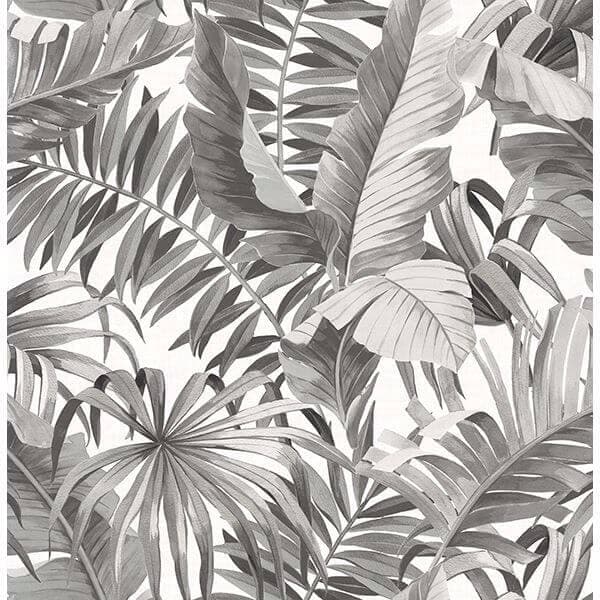 Alfresco Black Palm Leaf Wallpaper