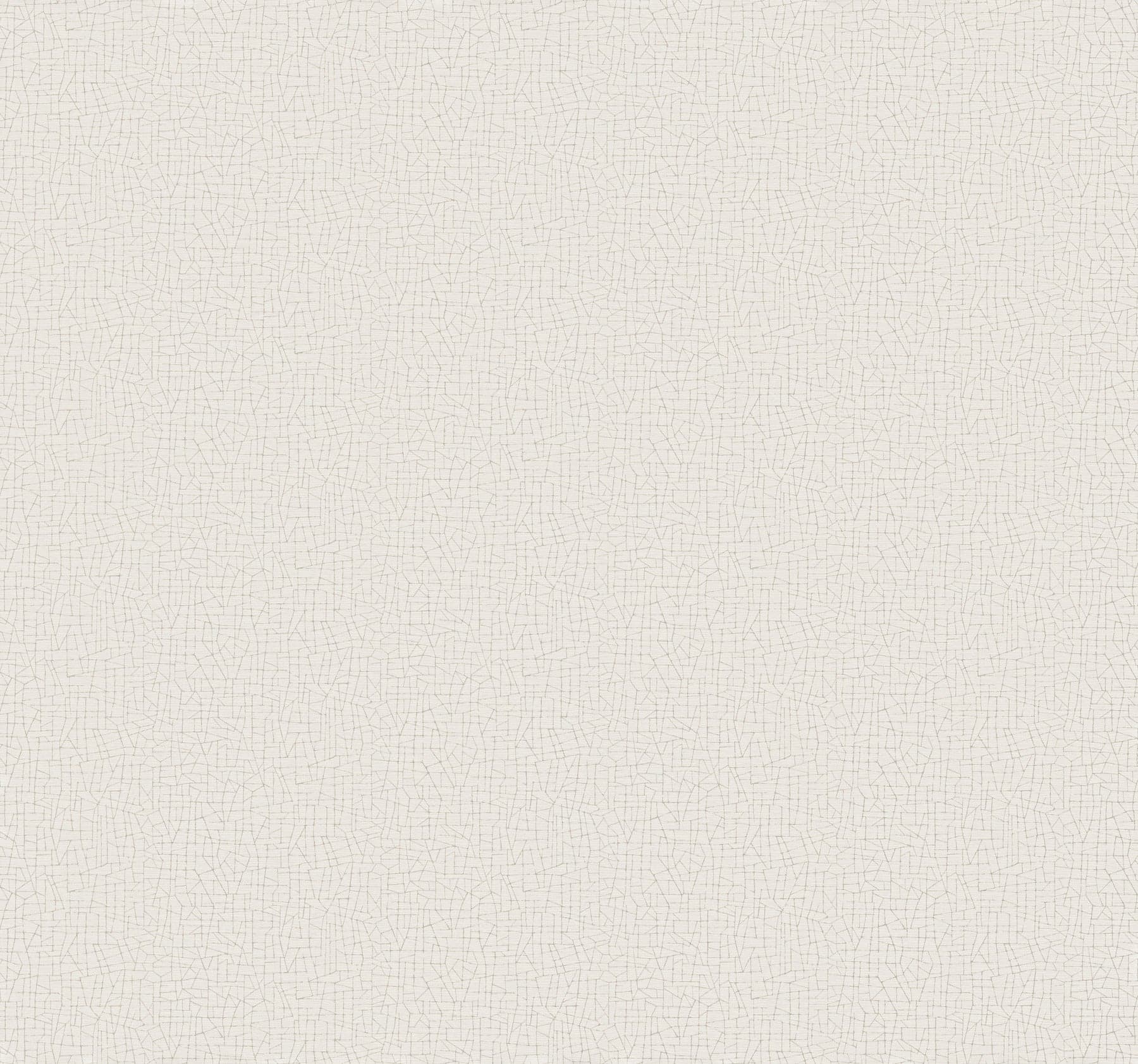 Cary White Wallpaper
