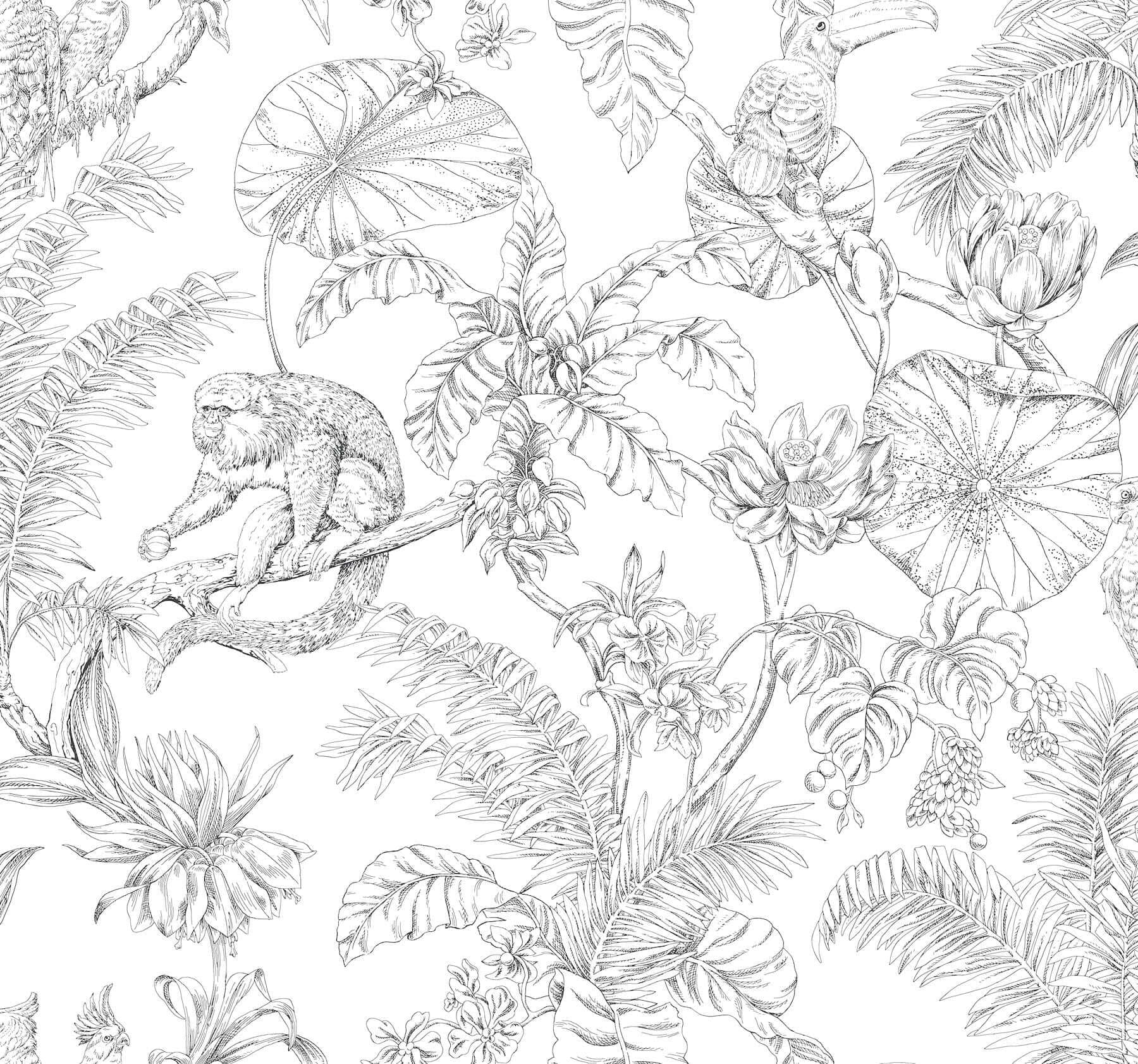Tropical Sketch Toile Wallpaper- Black