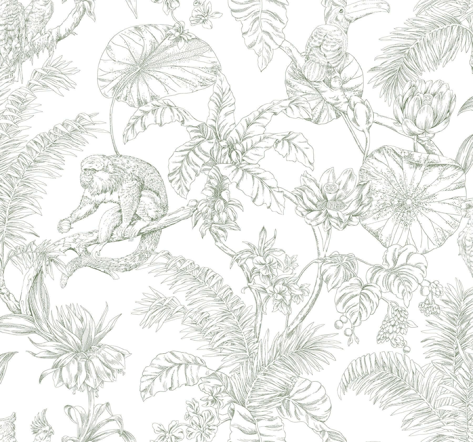 Tropical Sketch Toile Wallpaper- Forest